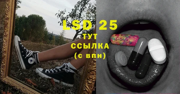 ECSTASY Магас