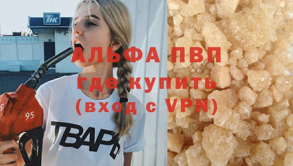 ECSTASY Магас