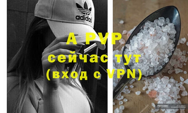 ECSTASY Магас