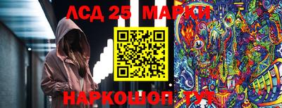 альфа пвп Гусев