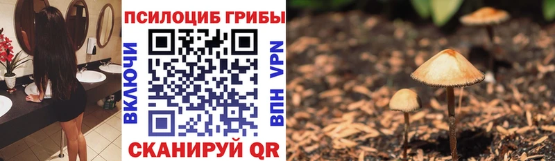 mega tor  купить закладку  Кизляр  Галлюциногенные грибы прущие грибы 