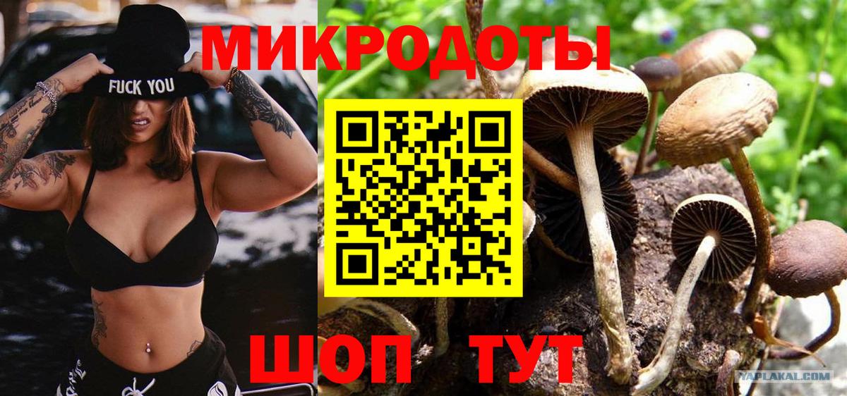 Галлюциногенные грибы ЛСД  Вход с VPN  Галлюциногенные грибы Cubensis  где купить наркоту  Кизляр 