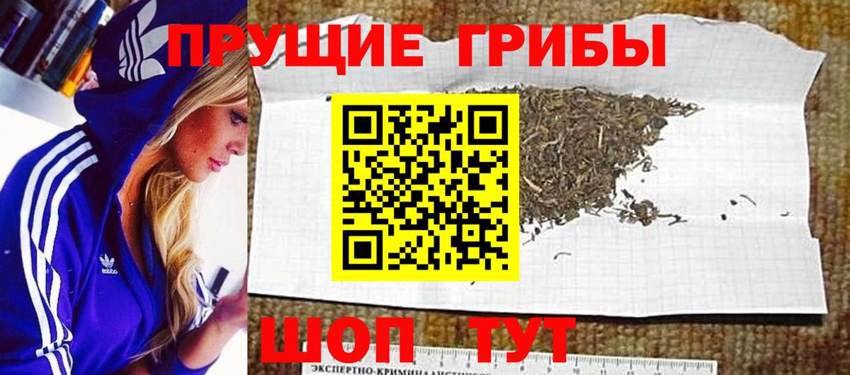 Галлюциногенные грибы Cubensis Кизляр