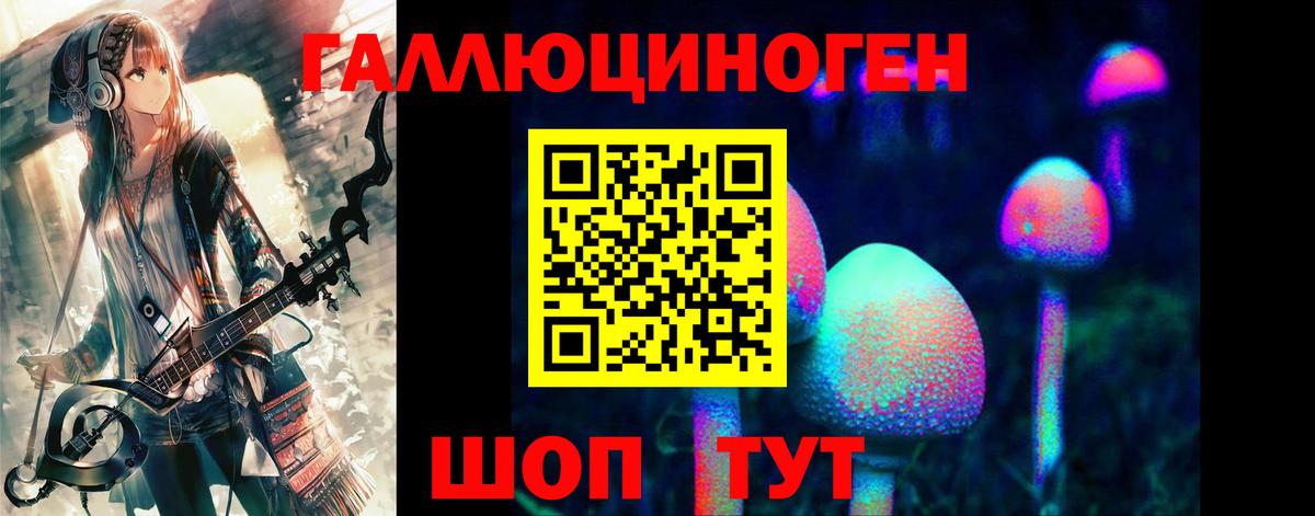 Псилоцибиновые грибы Cubensis  Кизляр 